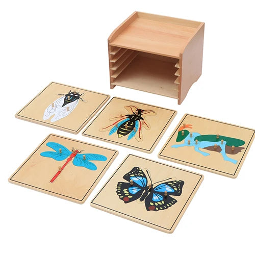 Montessori Educational Wooden Toys Botanical Cabinet Botany/ Animal/ Insect Puzzles for Children Biologic Science Early Learning